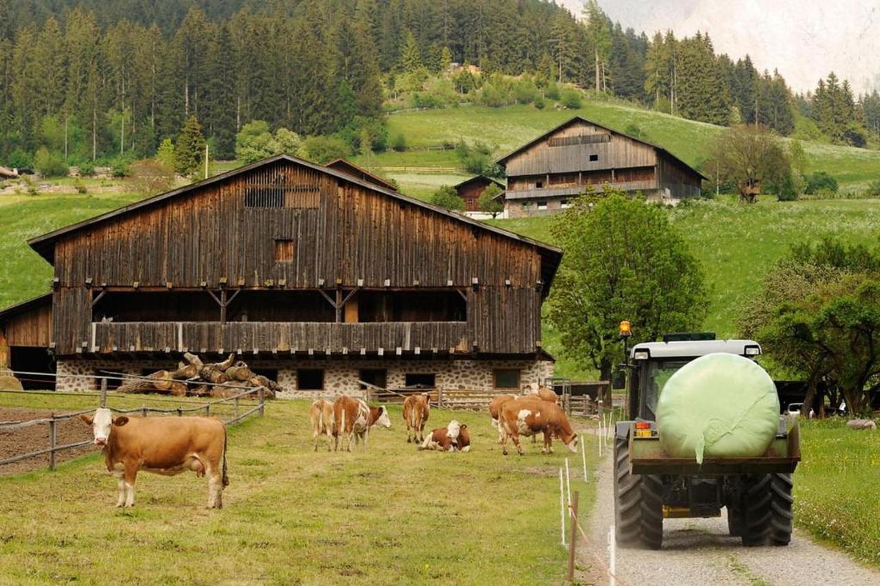 Moserhof Ferienwohnung Sunnseit Sarentino المظهر الخارجي الصورة